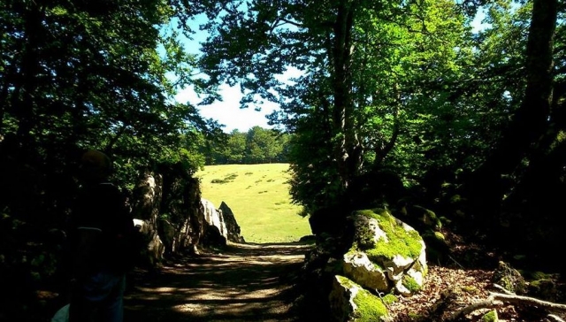 descubre nuestra naturaleza